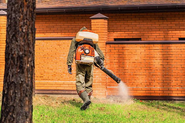 Top rated local Ant Control specialists in South Park, WY